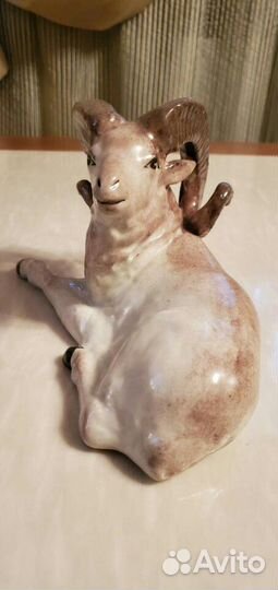 Архар фарфоровый (горный-козёл)