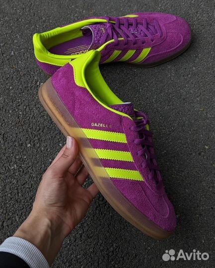 Adidas Originals Gazelle Shock Purple