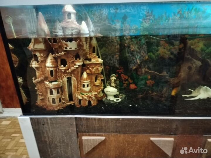 Аквариум