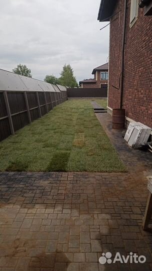 Рулонный газон, укладка рулонного газона