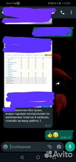 Репетитор, учитель