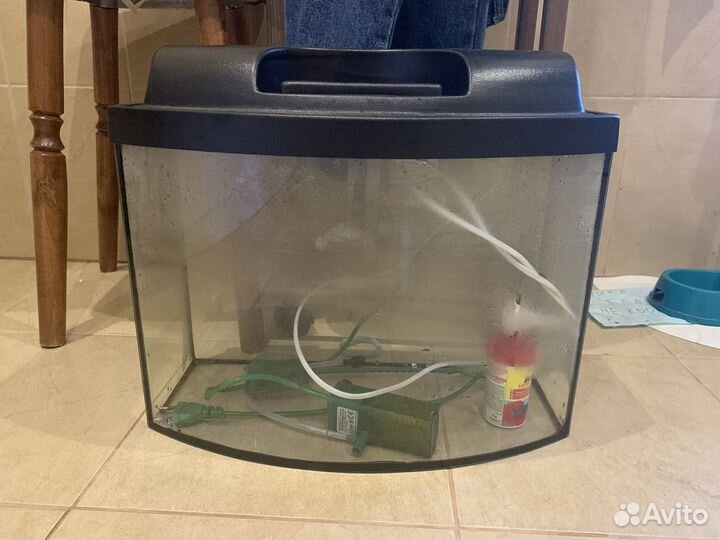 Аквариум
