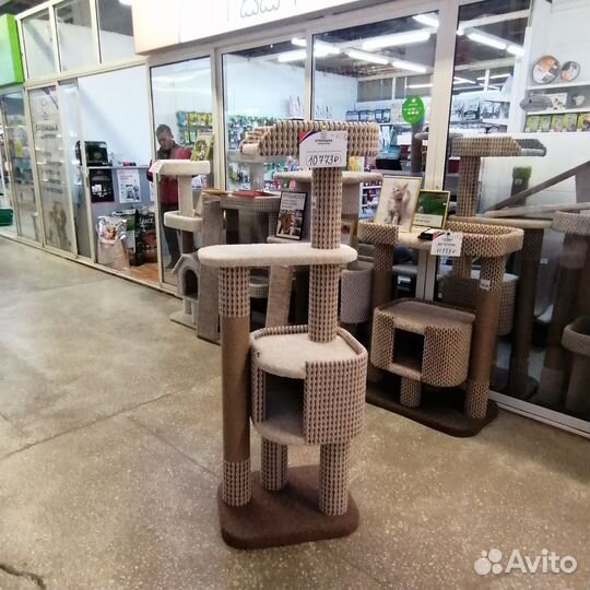 Когтеточка для кошки