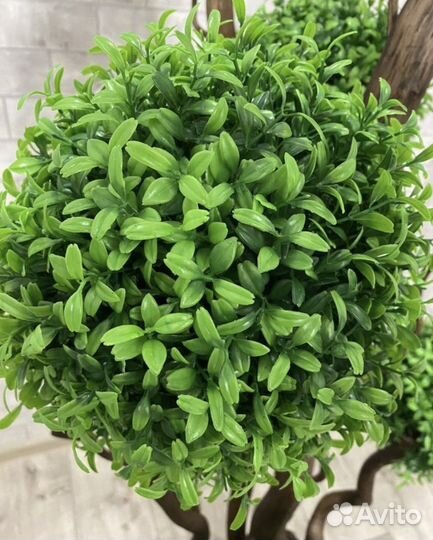 Самшит.Искусственное дерево