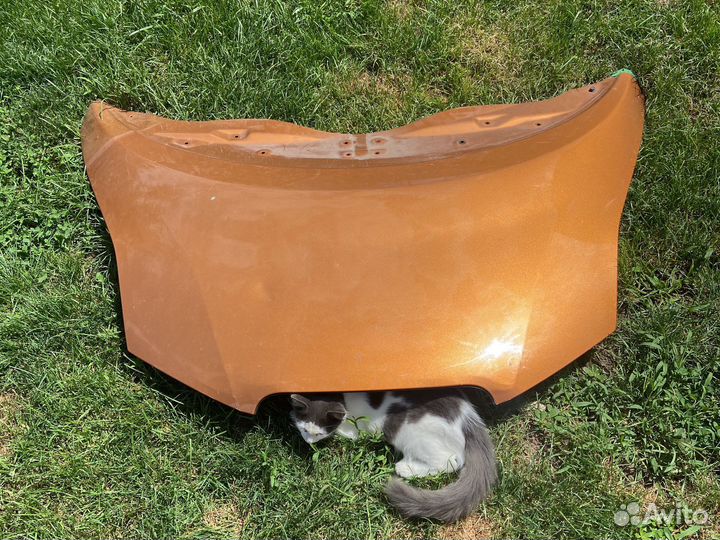 Капот nissan leaf