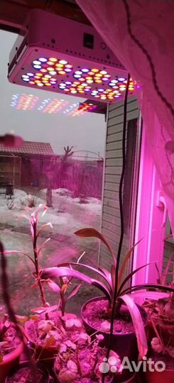 Светильник для растений. Фито лампа