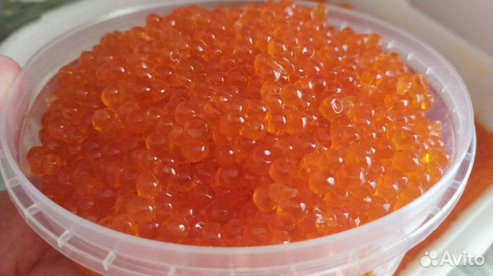Икра кеты этого года во Владивостоке