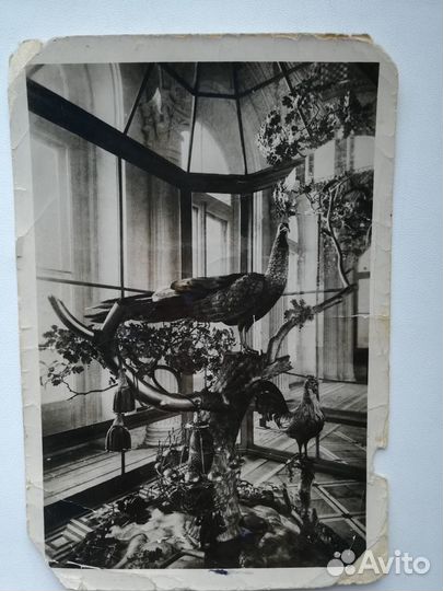 Почтовая открытка. 1937г. Эрмитаж
