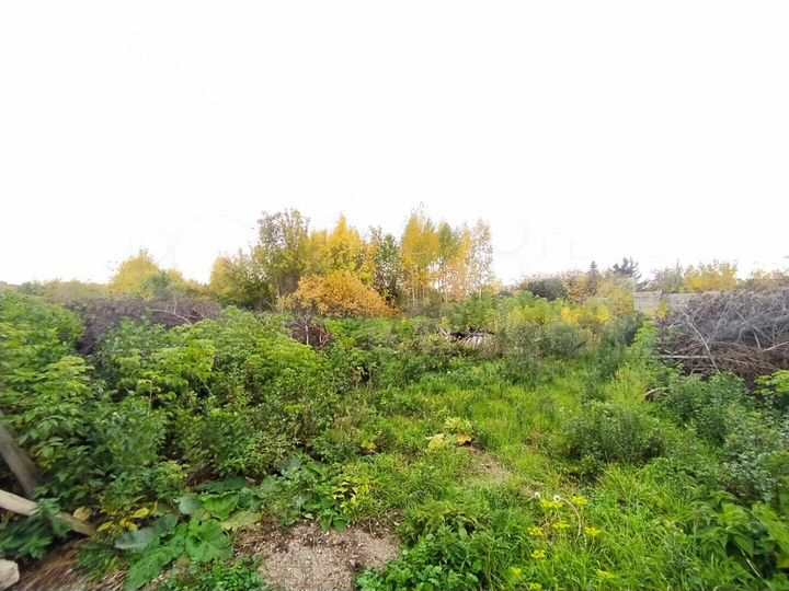 Участок 19,5 сот. (СНТ, ДНП)
