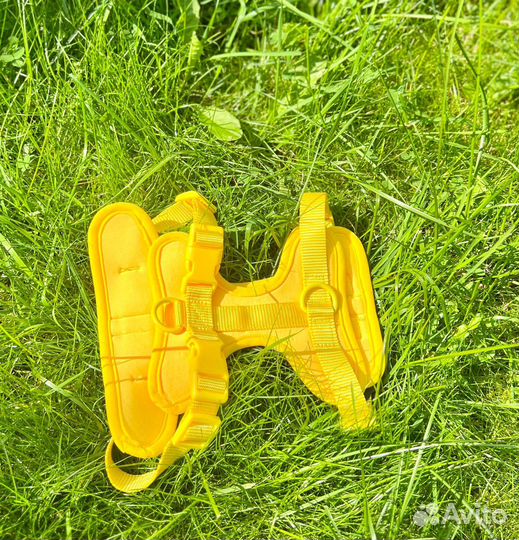 Шлейка для маленьких собак и кошек желтая