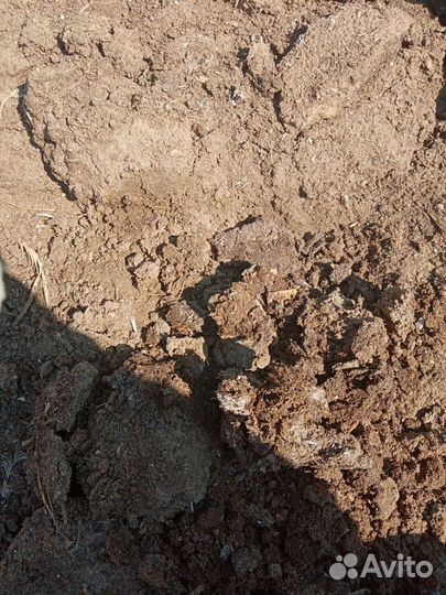 Навоз кроличий в мешках