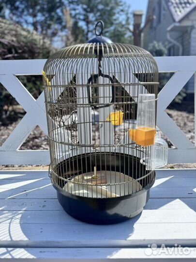 Клетка для попугая ferplast