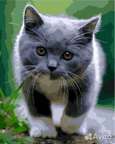 Картина по номерам