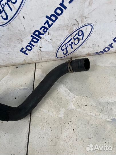 Патрубок радиатора верхний Ford Focus 3 CB8 1.6