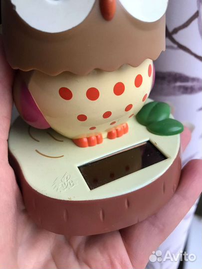 Сова на солнечной батарее