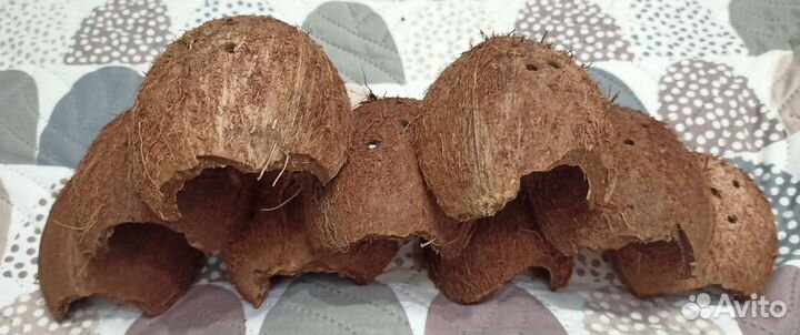 Скорлупа кокоса для аквариума