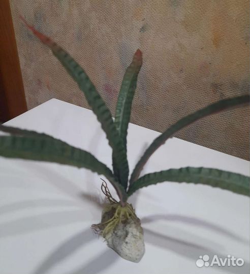Искусственные растения в аквариум