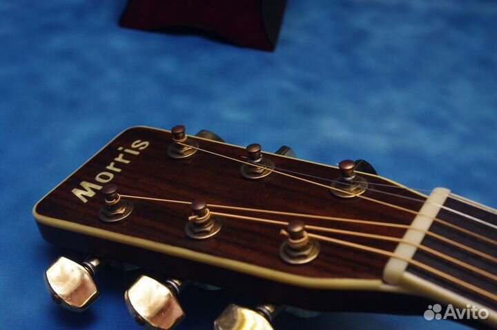 Акустическая гитара Morris MV-702. Japan