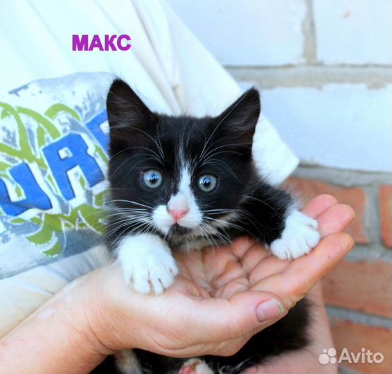 Малыши ищут свои семьи