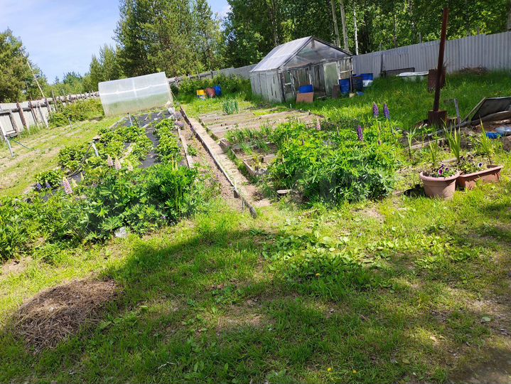 Дача 30 м² на участке 7 сот.