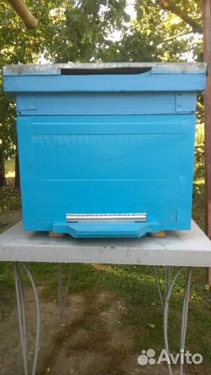 Ульи Дадан 12 рамочные