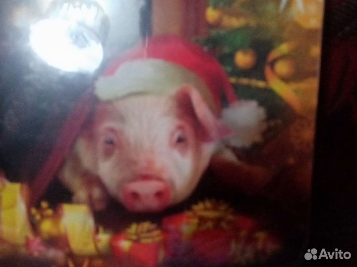 Доска кухонная 21х30