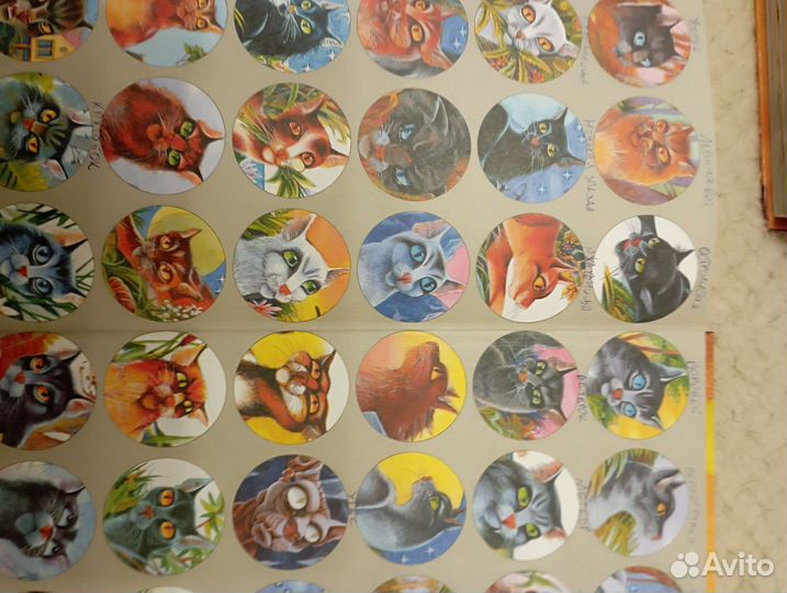 Путеводители по вселенной Коты-воители