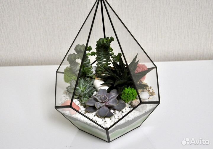 Флорариум Капля S с суккулентами
