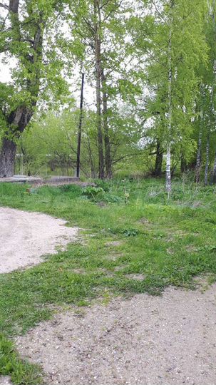 Участок 12 сот. (ИЖС)