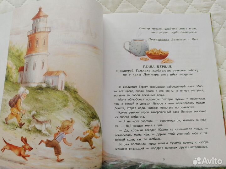 Книга Майсси из цветочного домика Дина и дракош