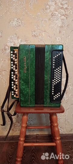 Баян Тула 202