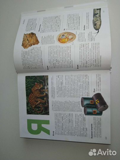 Энциклопедии