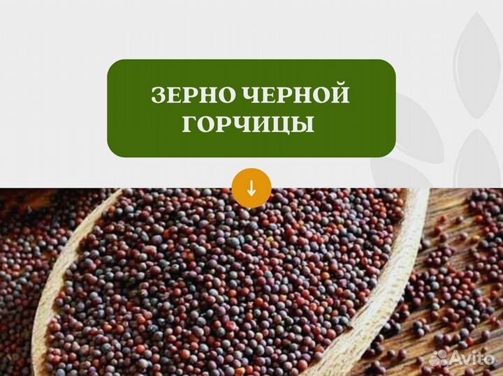 Чёрная горчица (кг)