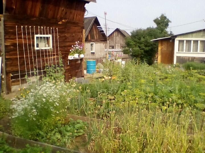 Дом 50 м² на участке 10 сот.