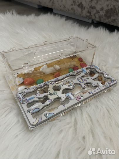 Муравьиная ферма формикарий