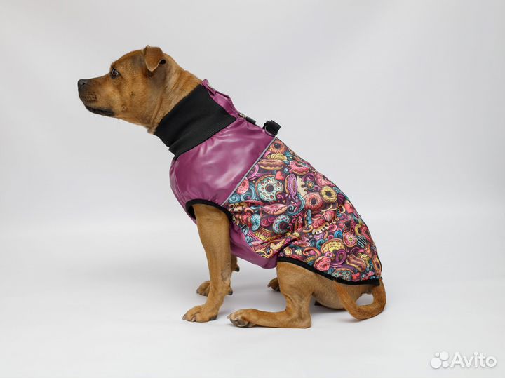 Жилетка для собак