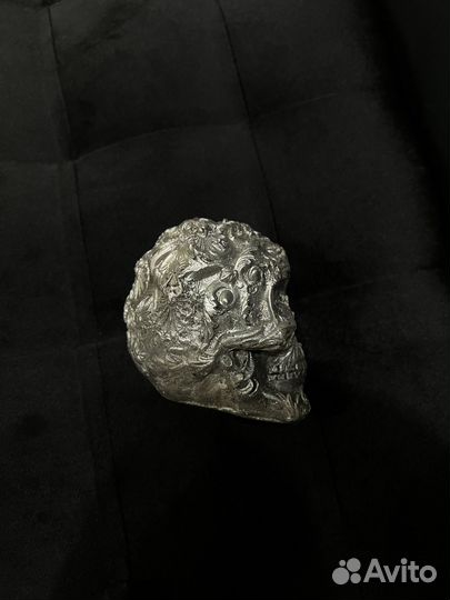 Череп из гипса