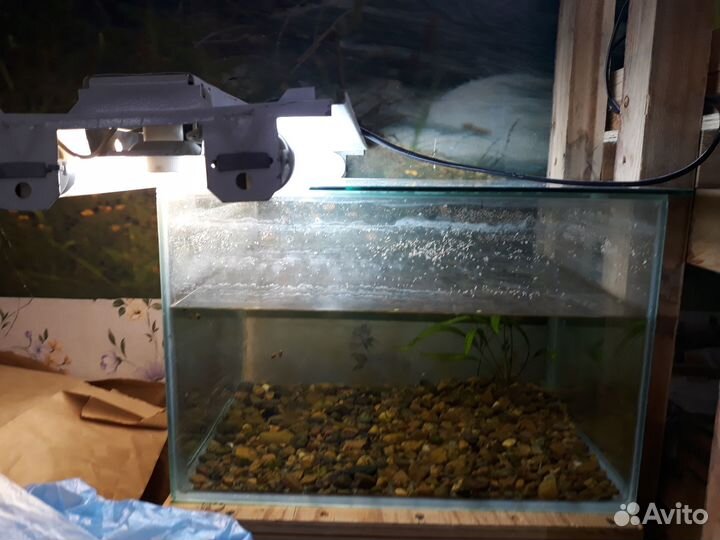 Фильтры Juwel Bioflow 3.0/M 500л/ч