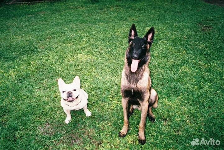 Плёночный фотоаппарат Kodak KB10