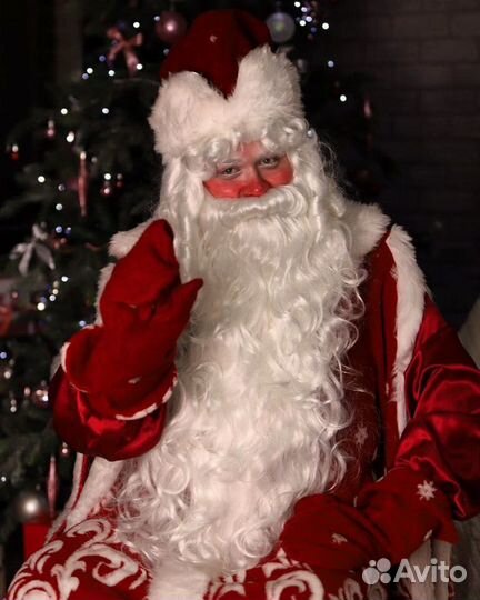 Дед Мороз и Снегурочка на дом