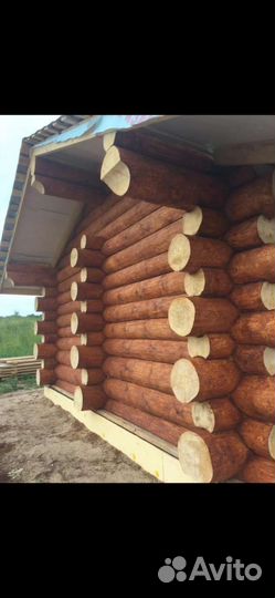 Бригада строителей работы по рубке домов бань