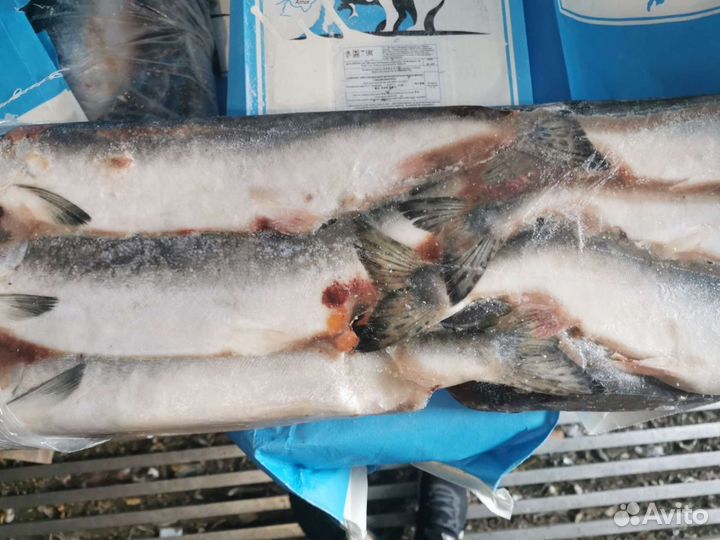 Рыба оптом