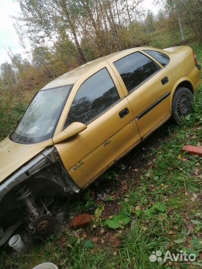Opel vectra б