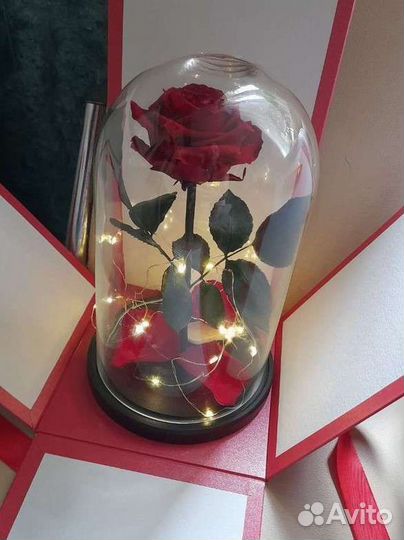 Роза в колбе Подсветка Подарок шары