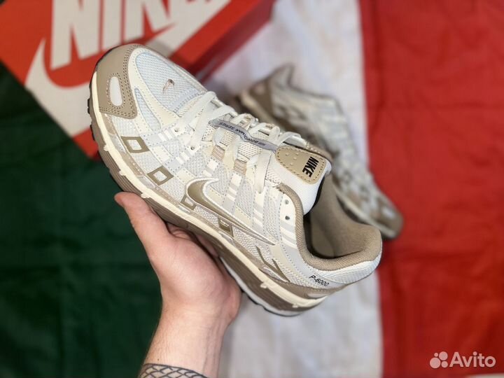 Мужские Кроссовки Nike P6000