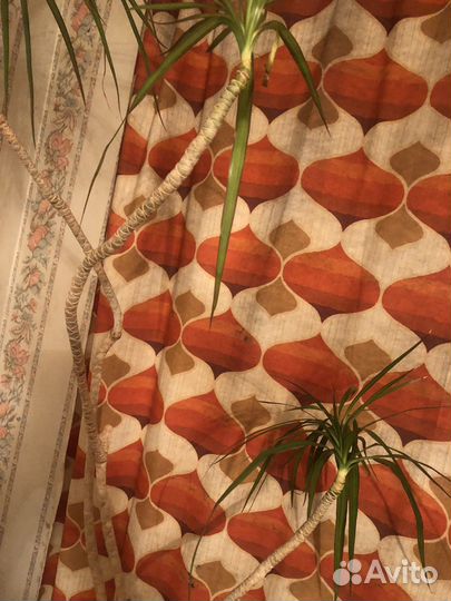 Пальма Юкка в горшке высокая. 2.2 метра