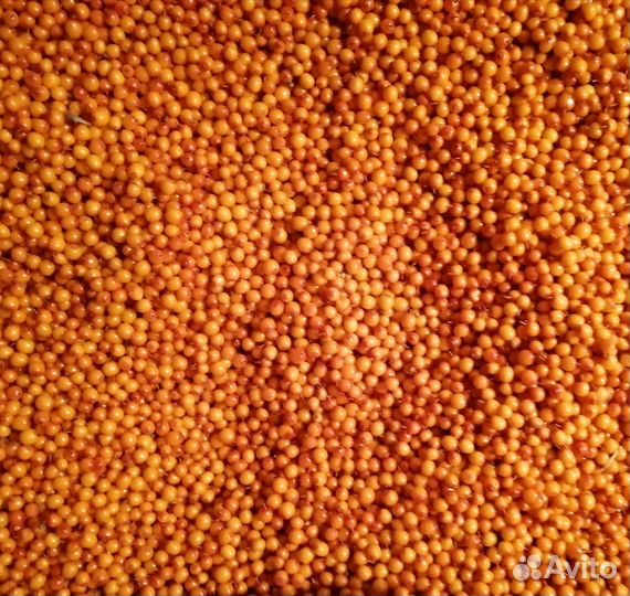 Облепиха замороженная