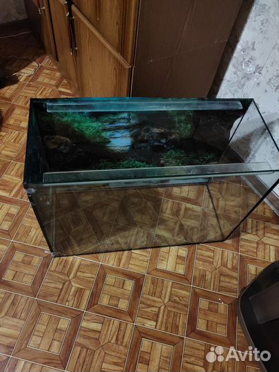 Аквариум на 100 литров