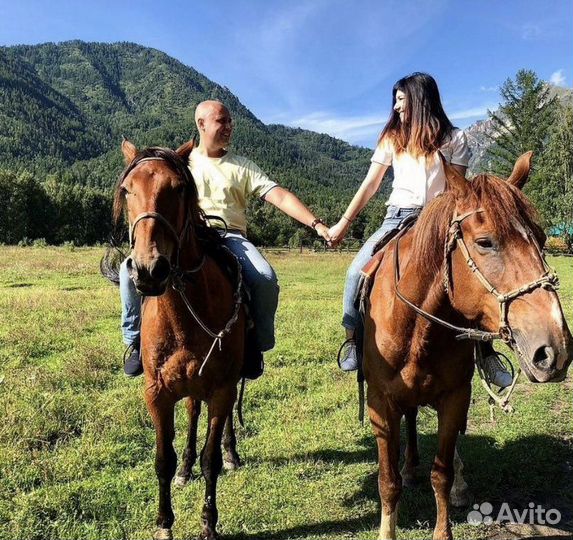 Экскурсия Конная прогулка (Адлер, Сочи)