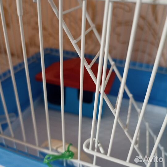 Клетка для грызунов бу